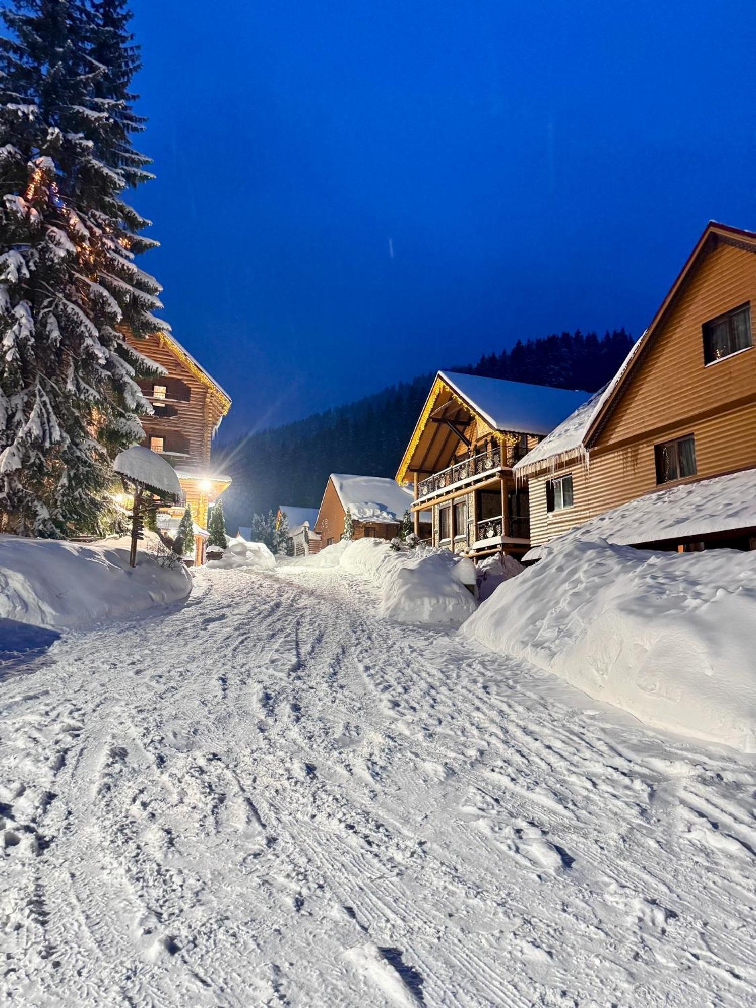 Арніка Otel Synevyrsʼka Polyana Dış mekan fotoğraf