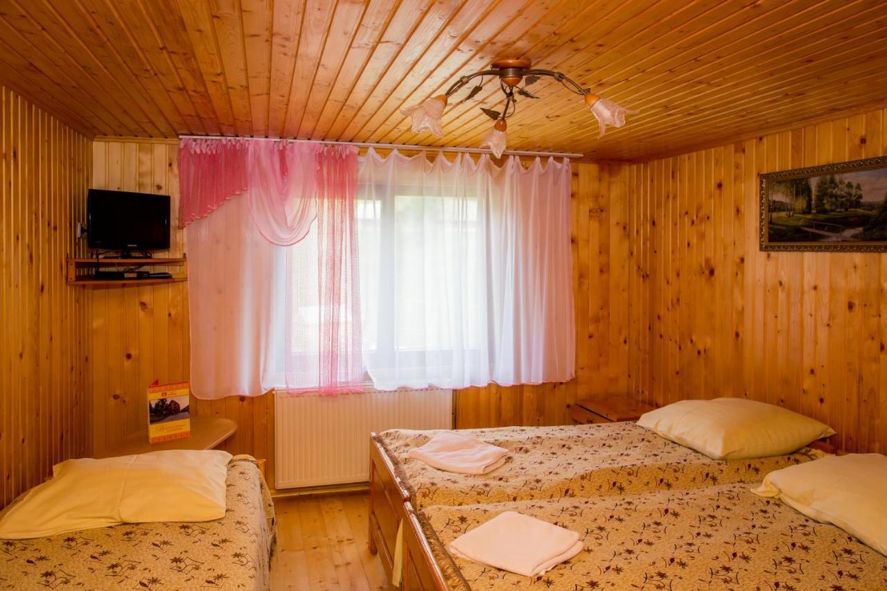 Арніка Otel Synevyrsʼka Polyana Dış mekan fotoğraf